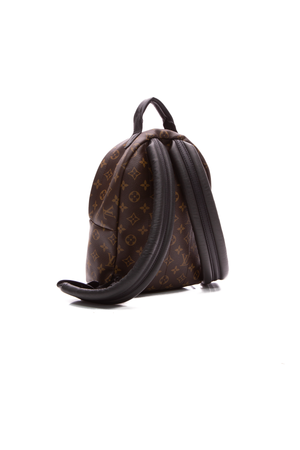 Louis Vuitton Monogram Palm Springs Backpack