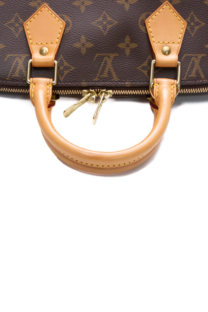 Louis Vuitton Monogram Alma Bag