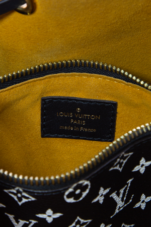  Louis Vuitton NeoNoe MM Bag