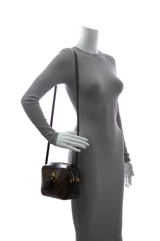 Louis-Vuitton-Saintonage-Bag-295392