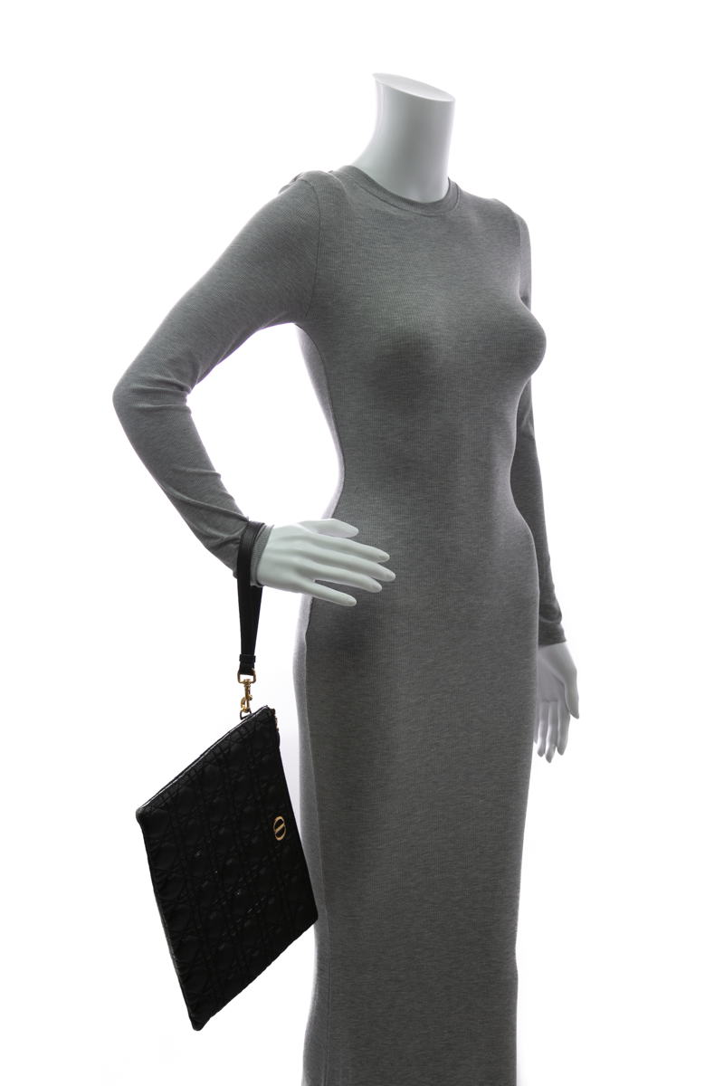 Large Caro Daily Pouch