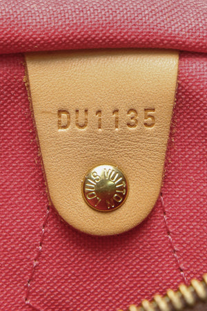 Louis Vuitton Ramages Speedy 30 Bag - Grenade Monogram