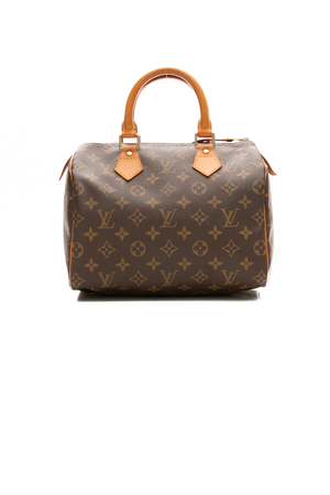 Louis-Vuitton-Vintage-Speedy-25-Bag-300667