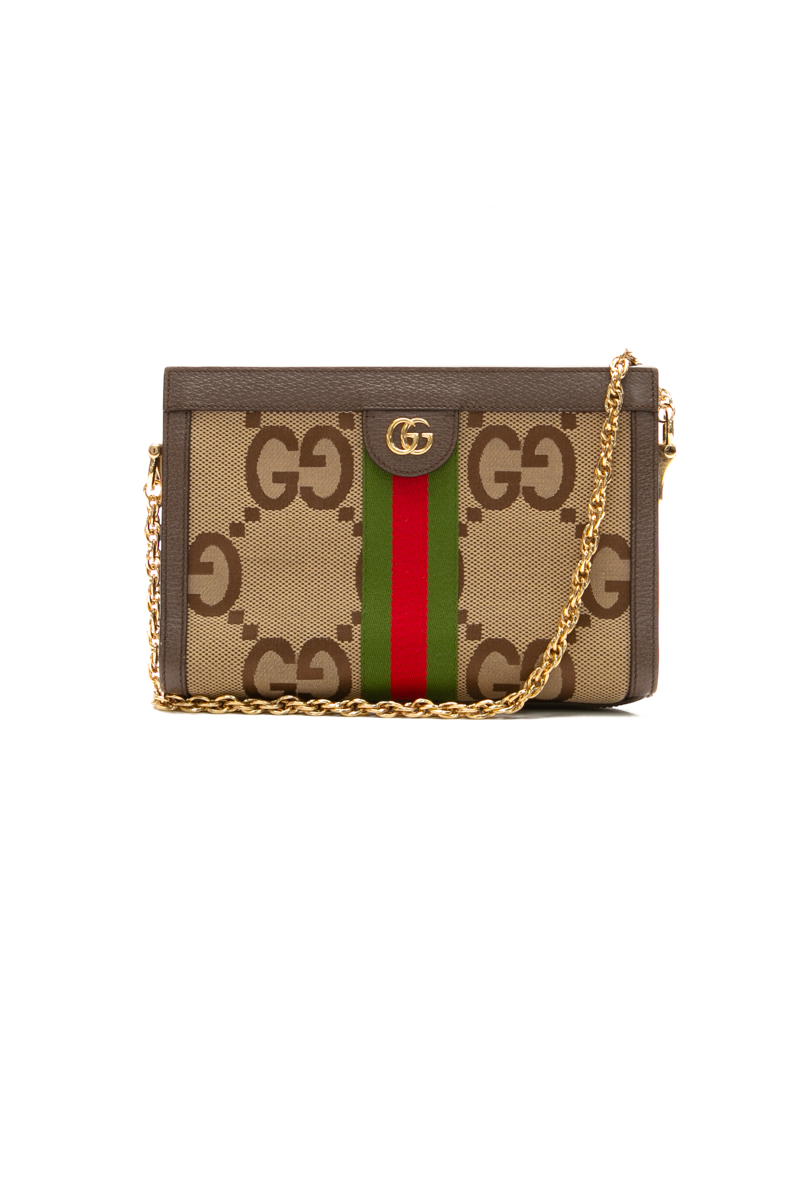 Gucci-Small-Ophidia-Chain-Bag-300668