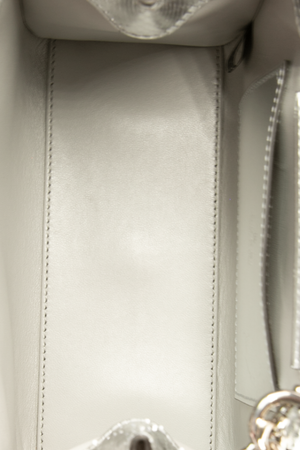 Gucci - Silver Python Small Diana Bag