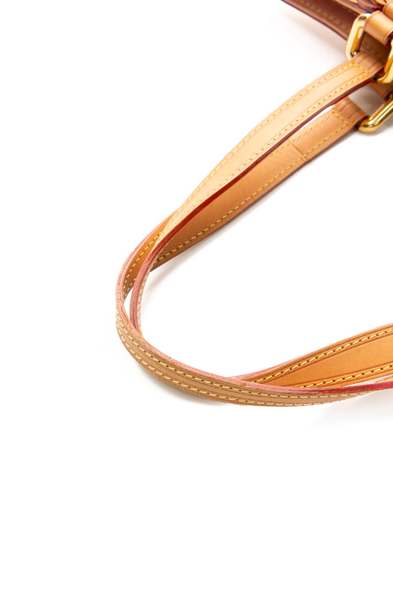 Louis Vuitton - Multicolor Sharleen MM
