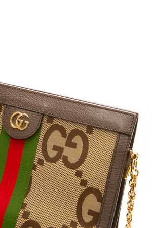 Gucci - GG Web Small Ophidia Chain Bag