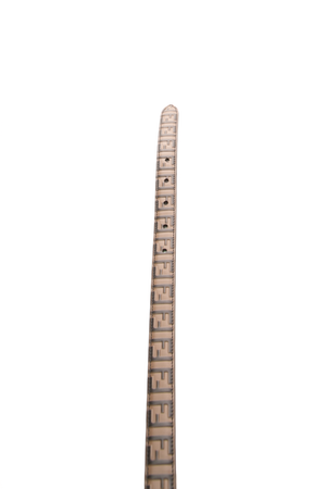 Fendi - Zucca FF Logo Belt  (90)