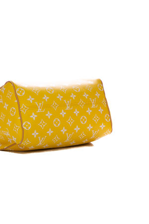 Speedy P9 Bandouliere 25 Bag