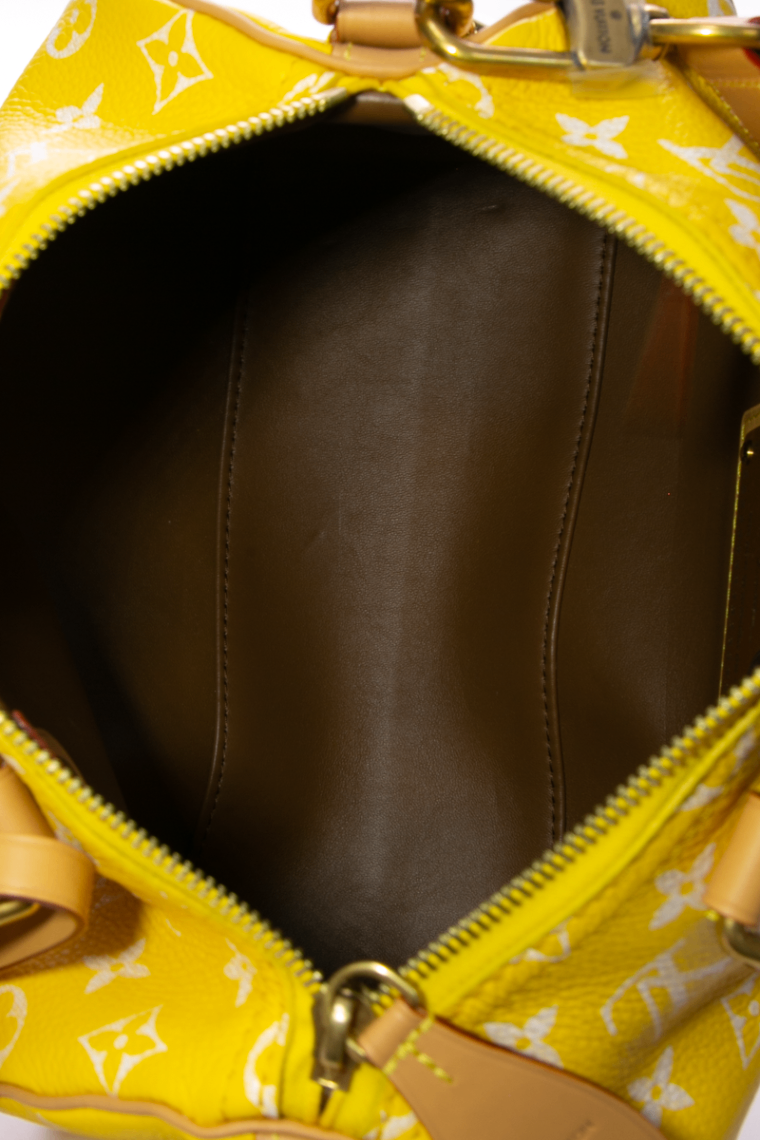 Speedy P9 Bandouliere 25 Bag