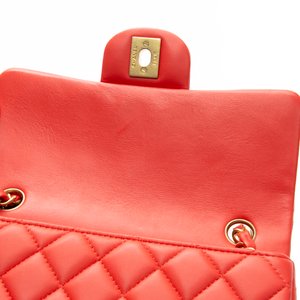 Classic Mini Flap Bag