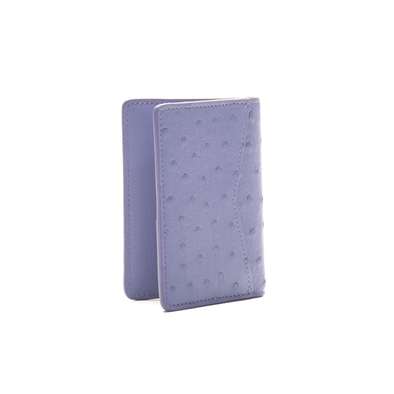 Louis-Vuitton-Exotic-Pocket-Organizer-300907