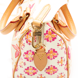 Louis Vuitton - Multicolor By The Pool Speedy 20 Crossbody Bags
