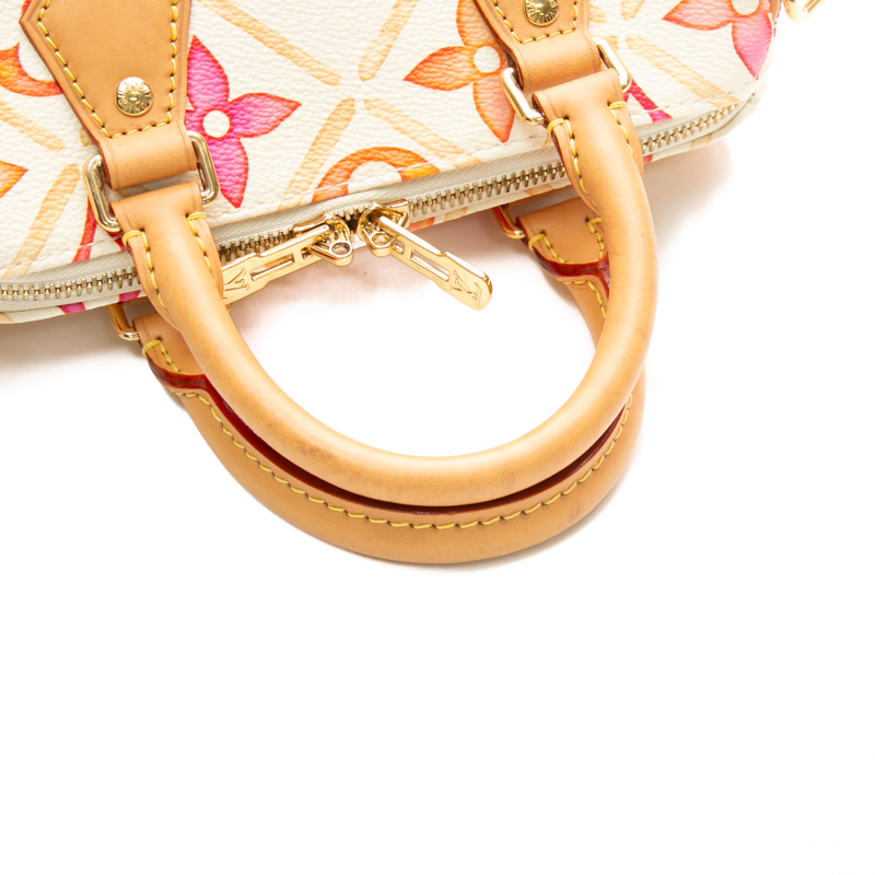 Louis Vuitton - Multicolor By The Pool Speedy 20 Crossbody Bags