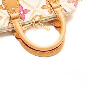 Louis Vuitton - Multicolor By The Pool Speedy 20 Crossbody Bags