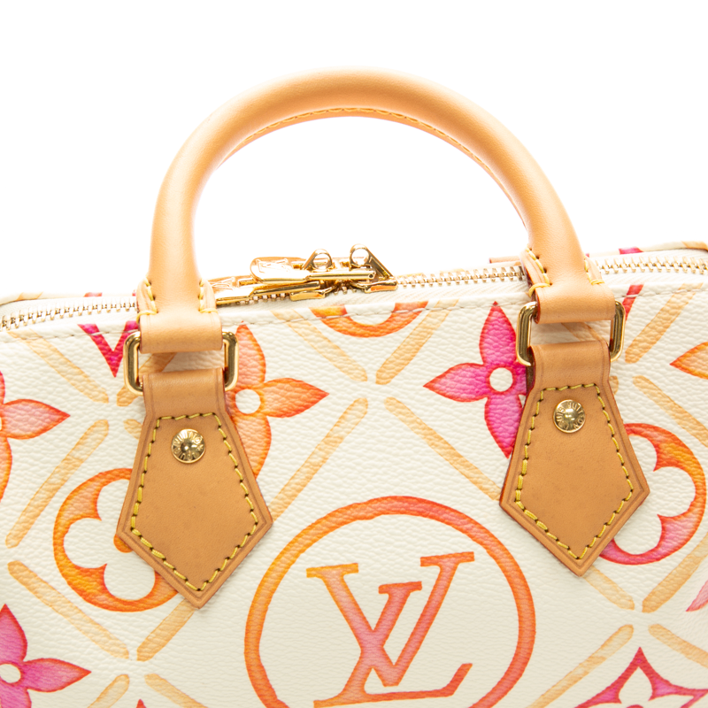 Louis Vuitton - Multicolor By The Pool Speedy 20 Crossbody Bags