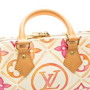 Louis Vuitton - Multicolor By The Pool Speedy 20 Crossbody Bags