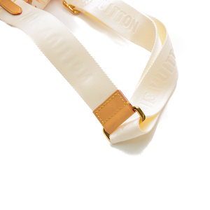 Louis Vuitton - Multicolor By The Pool Speedy 20 Crossbody Bags