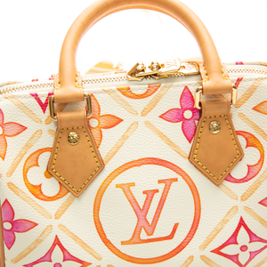 Louis Vuitton - Multicolor By The Pool Speedy 20 Crossbody Bags