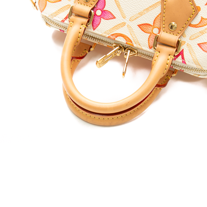 Louis Vuitton - Multicolor By The Pool Speedy 20 Crossbody Bags