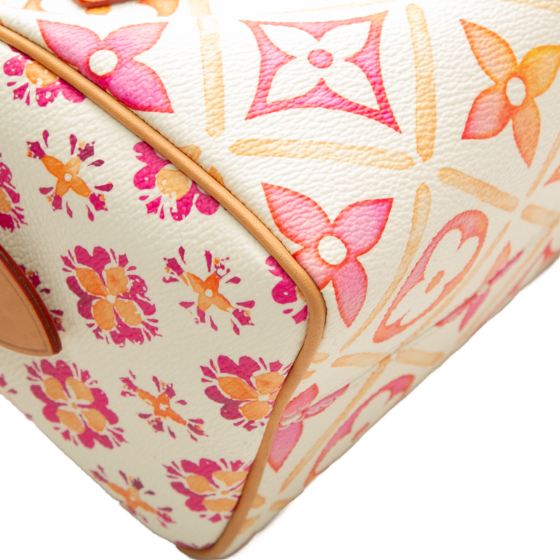 Louis Vuitton - Multicolor By The Pool Speedy 20 Crossbody Bags
