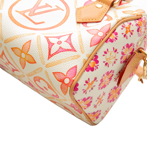 Louis Vuitton - Multicolor By The Pool Speedy 20 Crossbody Bags