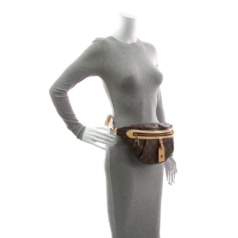 Louis Vuitton - Monogram High Rise Bum Bag