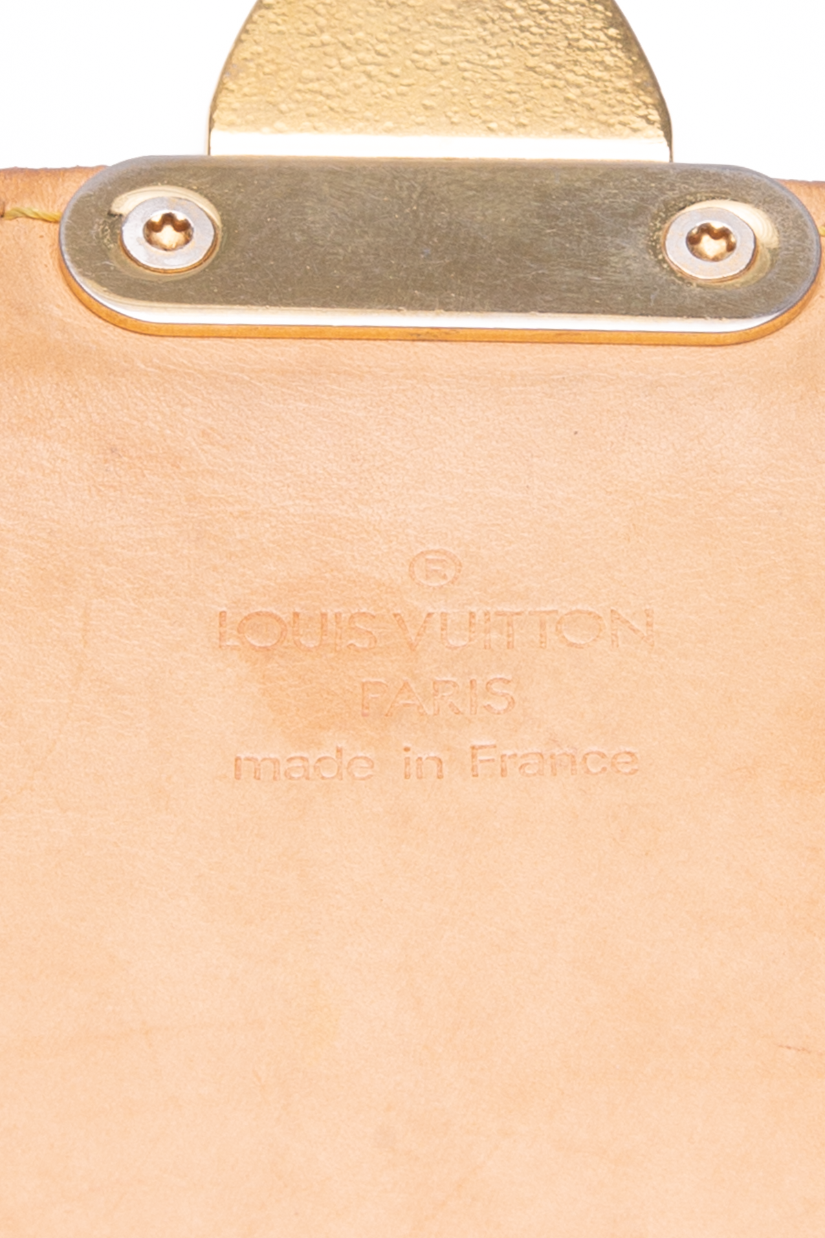Louis Vuitton Multicolore Sologne Bag - Couture USA