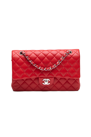 Chanel Classic Medium Double Flap Bag 