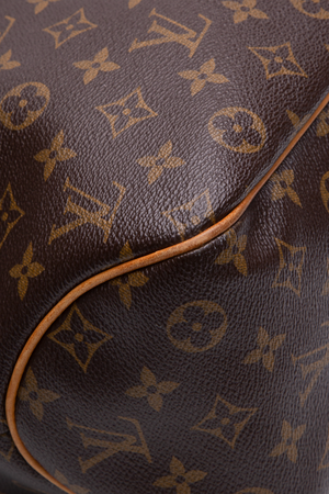 Louis Vuitton Delightful MM Bag
