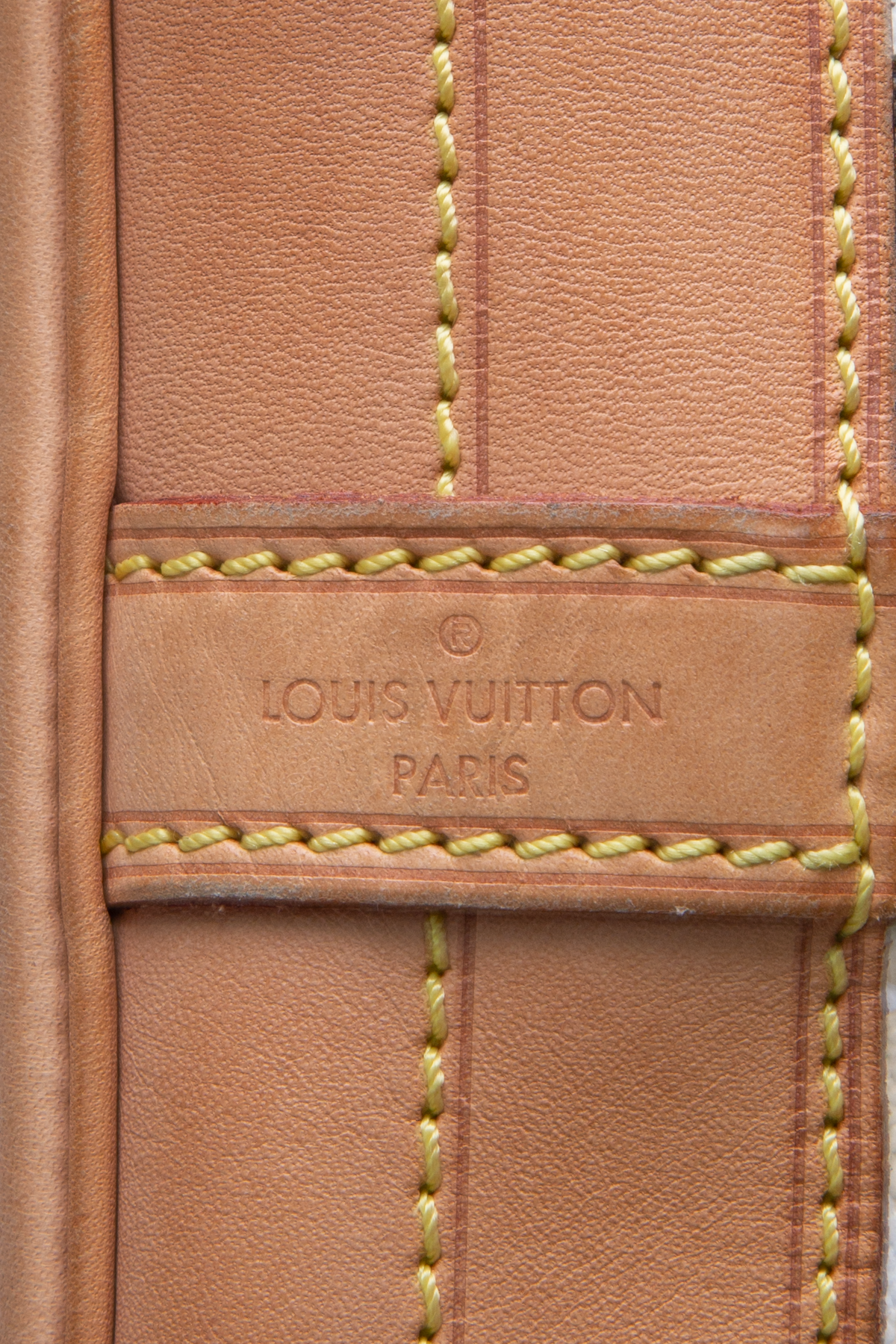 LOUIS VUITTON Monogram Rayures Noe 396089