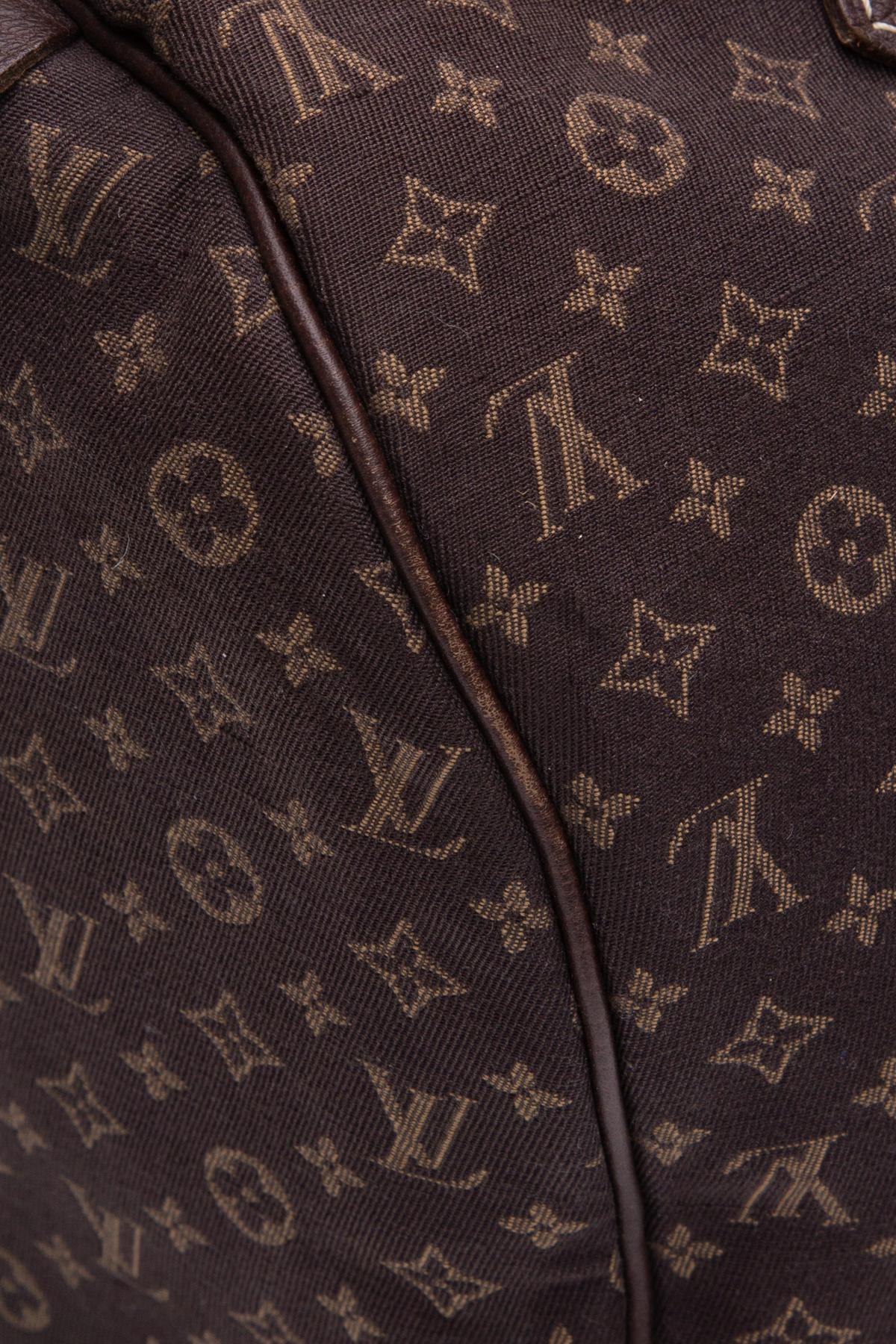Louis Vuitton Mini Lin Speedy Bag
