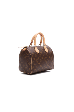 Louis Vuitton Monogram Speedy Bag