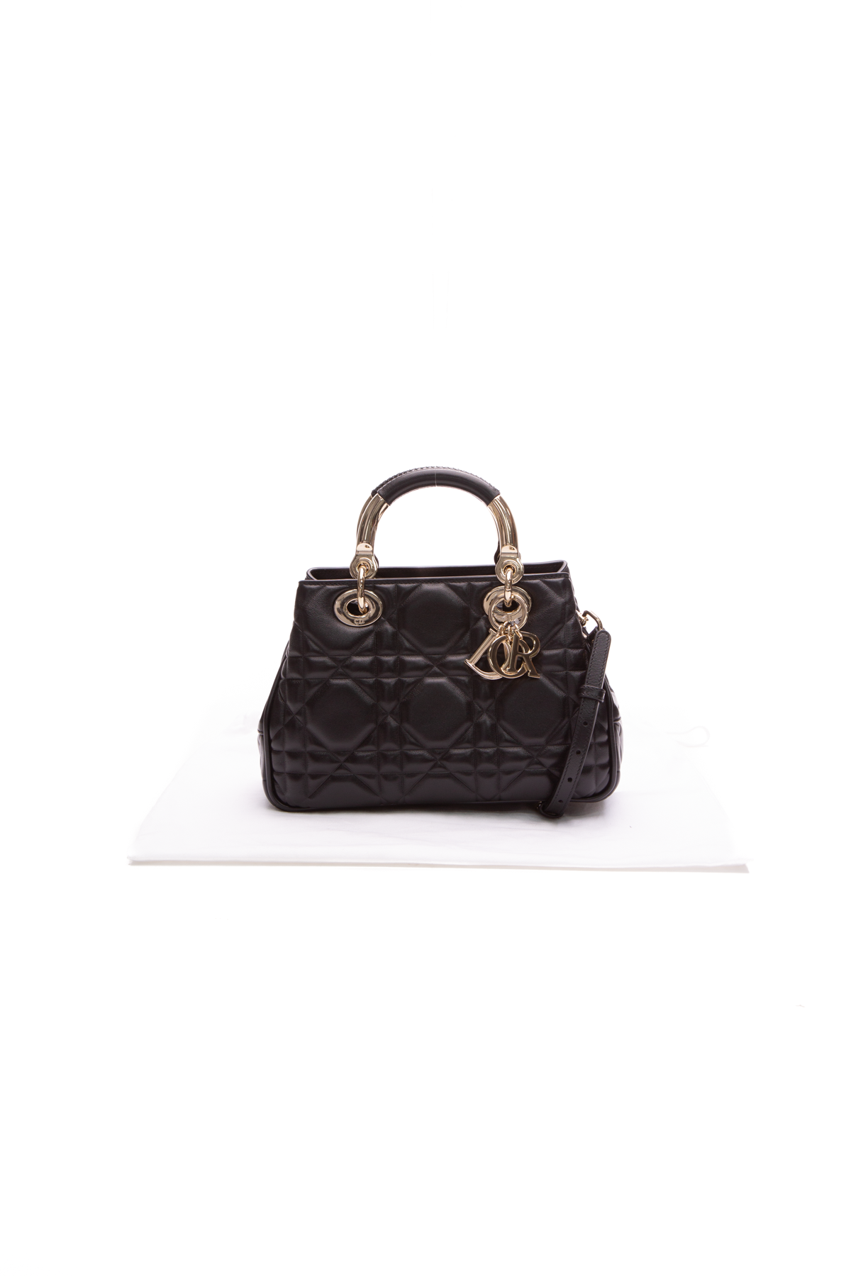 Christian Dior The Lady 95.22 Small Bag
