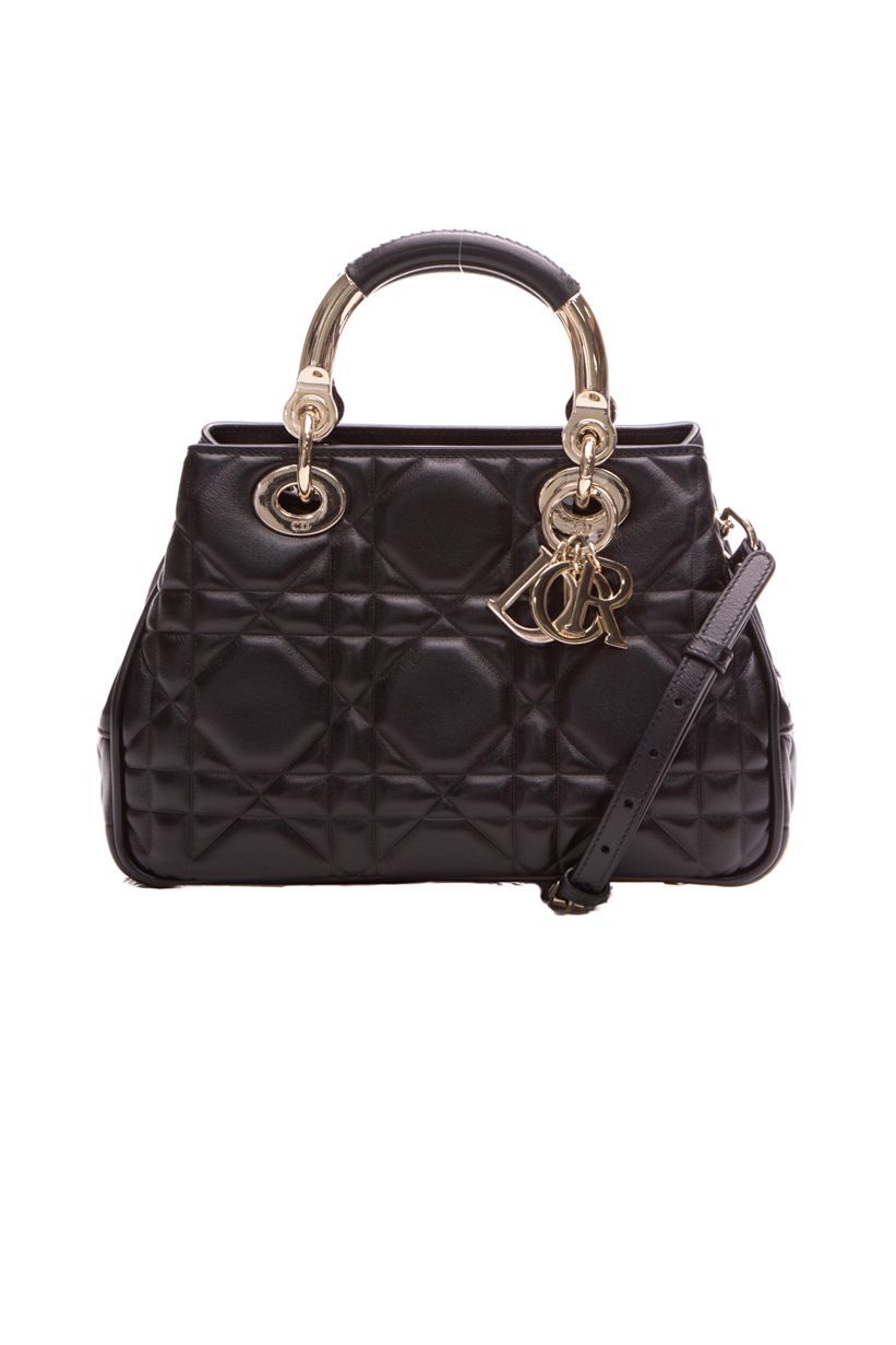 Christian Dior The Lady 95.22 Small Bag Couture USA