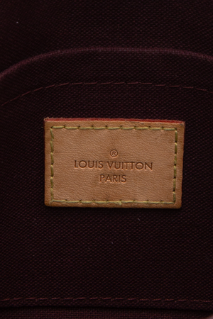 Louis Vuitton Monogram Favorite Bag