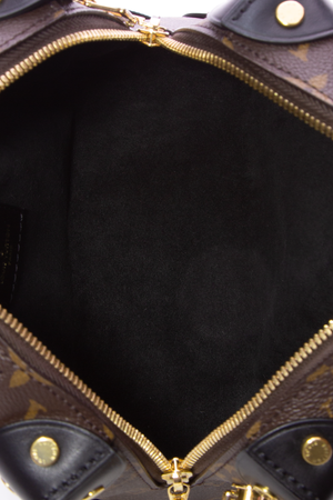 Louis Vuitton Soft Petit Malle Bag