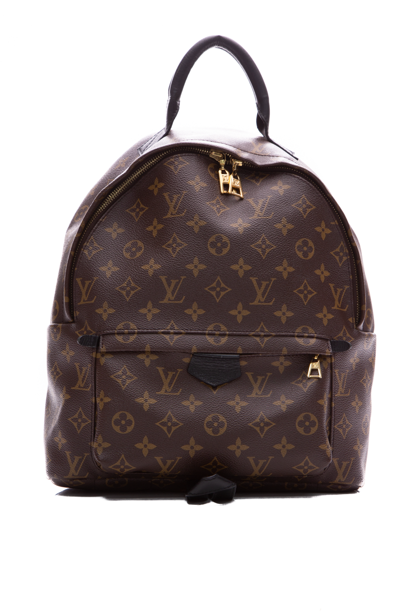 Louis Vuitton Palm Springs mm Backpack Monogram Canvas