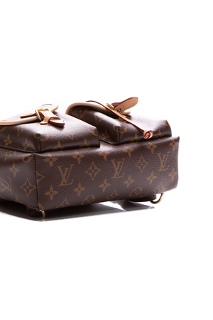 Louis Vuitton Monogram Excursion Backpack 