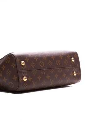 Louis Vuitton Monogram Braided Cluny Bag