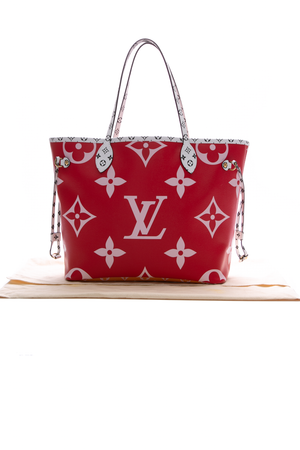 Louis Vuitton Neverfull MM Bag