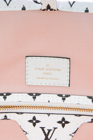 Louis Vuitton Neverfull MM Bag