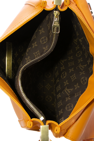 Louis Vuitton Soft Dauphine MM Bag