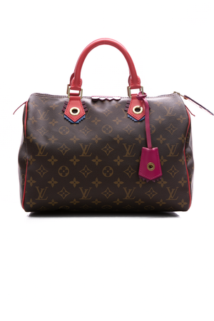 Louis Vuitton Totem Speedy 30 Bag