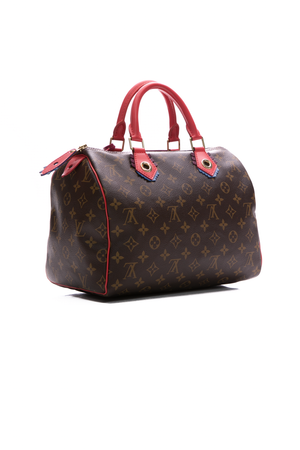 Louis Vuitton Totem Speedy 30 Bag