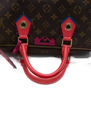 Louis Vuitton Totem Speedy 30 Bag