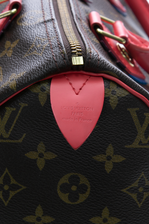 Louis Vuitton Totem Speedy 30 Bag