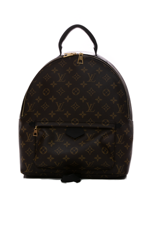 Louis Vuitton Palm Springs MM Backpack