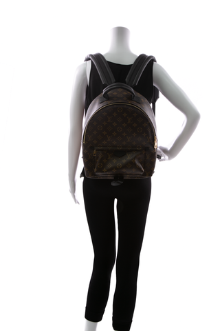 Louis Vuitton Palm Springs MM Backpack