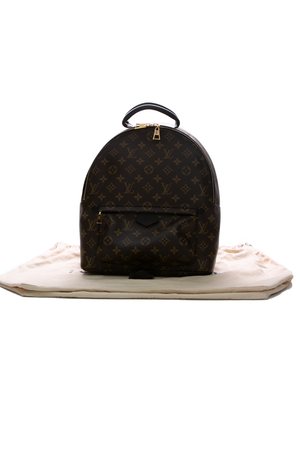 Louis Vuitton Palm Springs MM Backpack